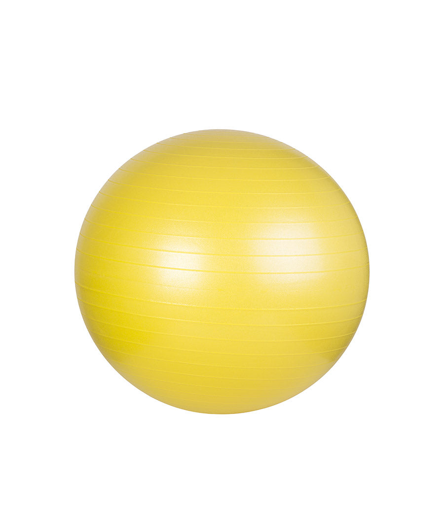 Cosco Anti Burst Gym Ball