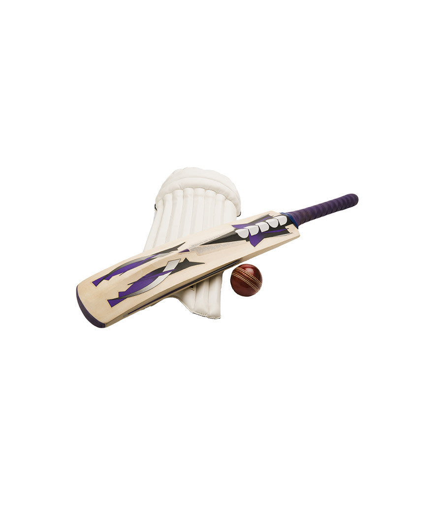 GM Sting Kashmir Willow Cricket Bat